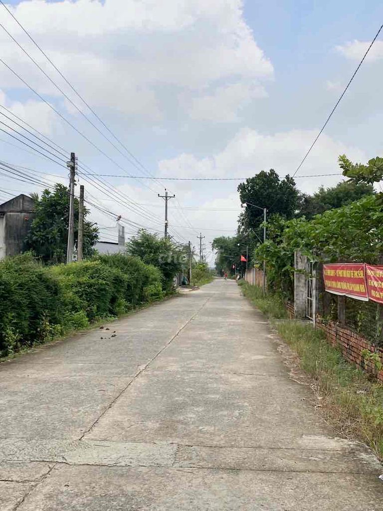 4330545 ảnh đại diện 1