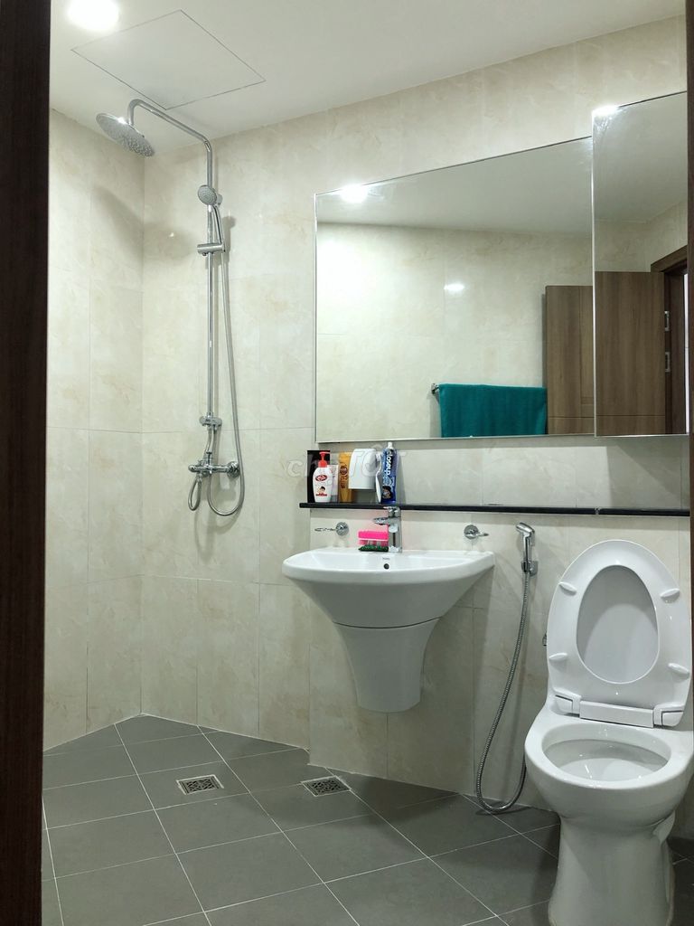 4331994 ảnh đại diện 2
