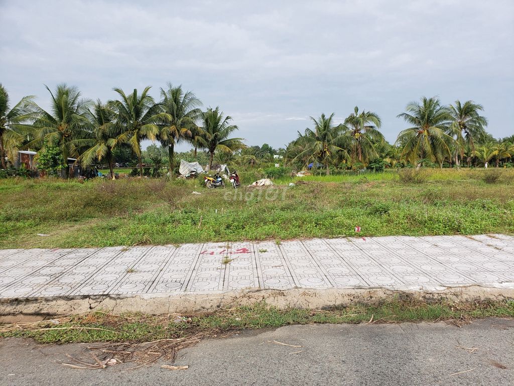 4330967 ảnh đại diện 1