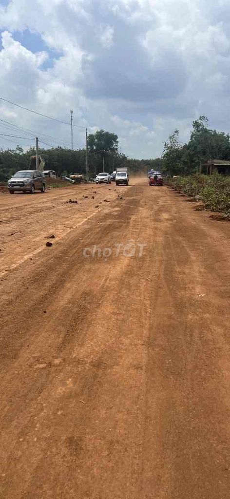 4331918 ảnh đại diện 1