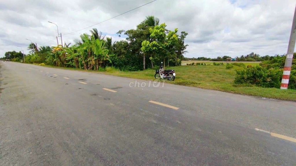 4329936 ảnh đại diện 2
