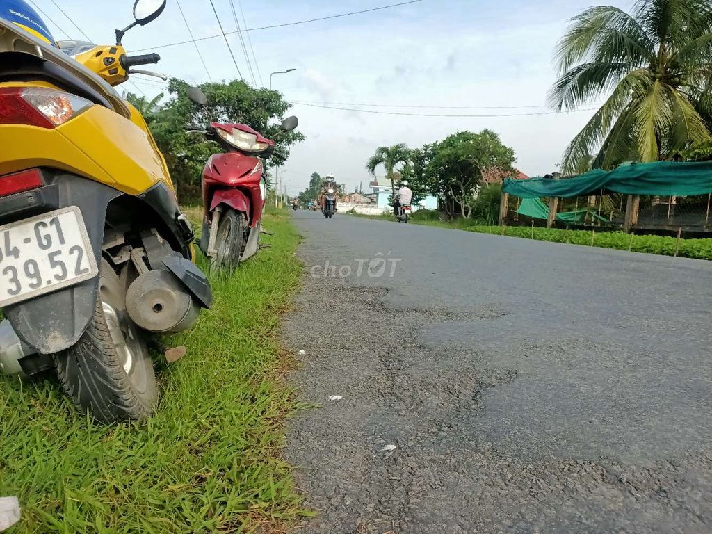 4329507 ảnh đại diện 2