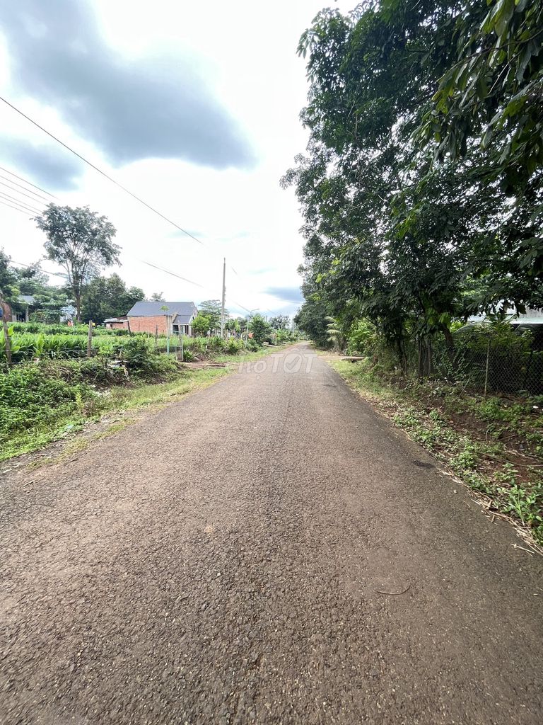 4329887 ảnh đại diện 1