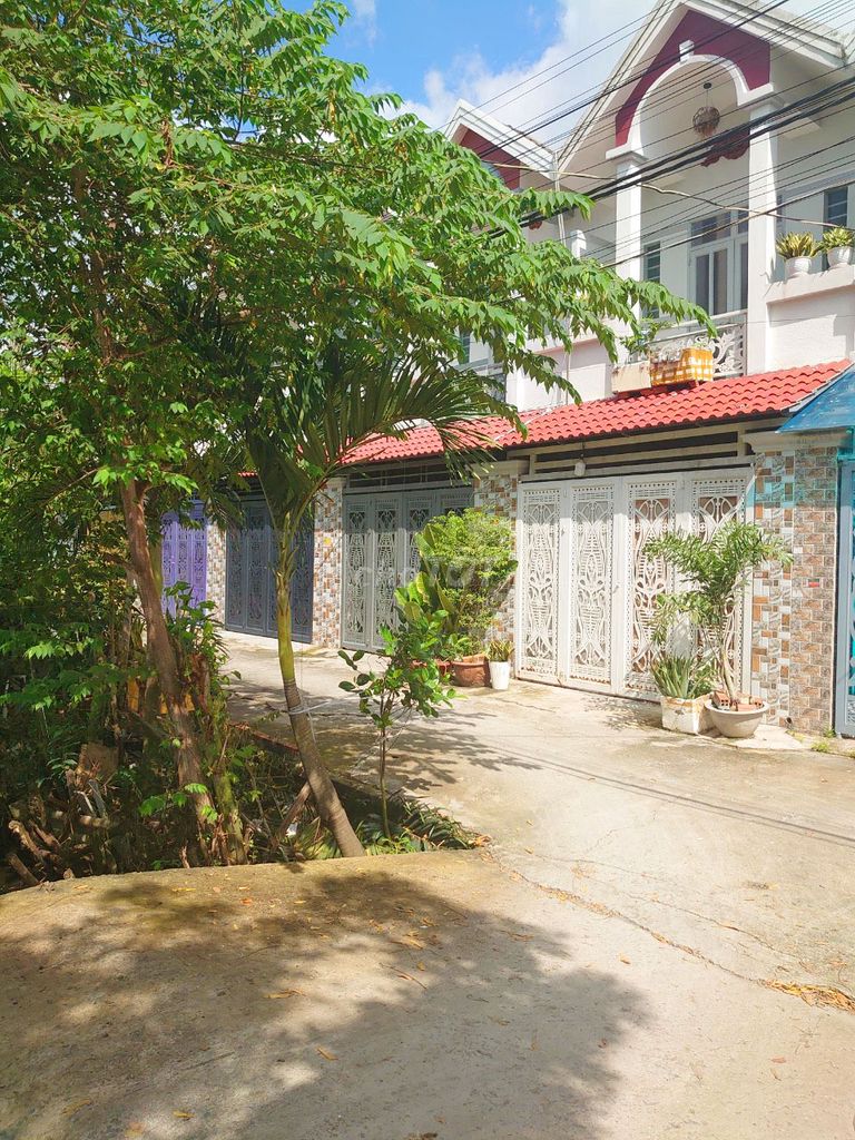 4334791 ảnh đại diện 2