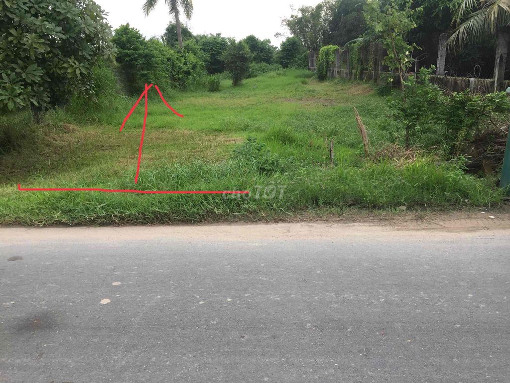 4329310 ảnh đại diện 1