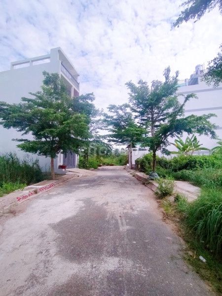 4328519 ảnh đại diện 2