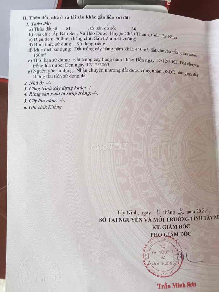 4327498 ảnh đại diện 2