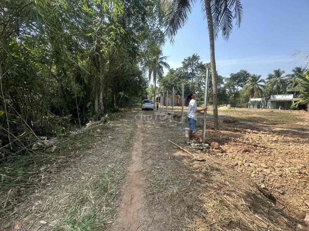 4330379 ảnh đại diện 2