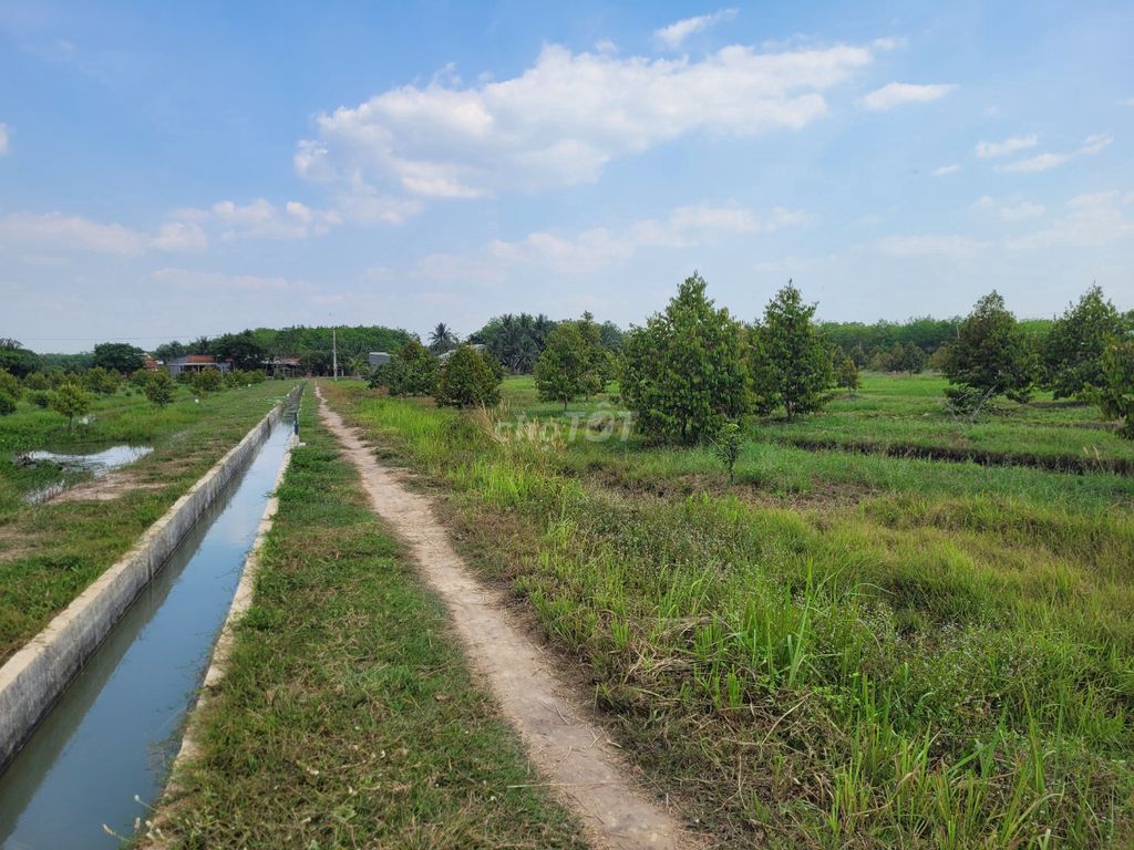 4329112 ảnh đại diện 1