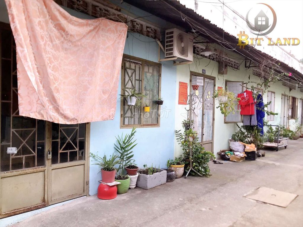 4334978 ảnh đại diện 1