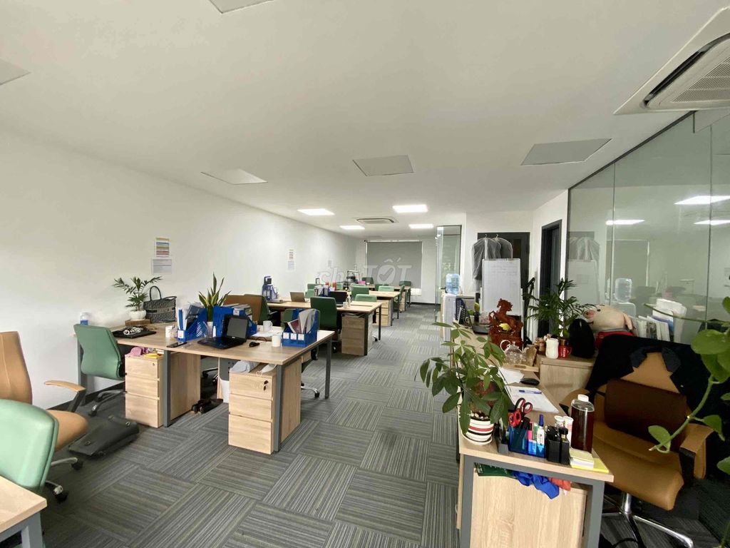 4331474 ảnh đại diện 2