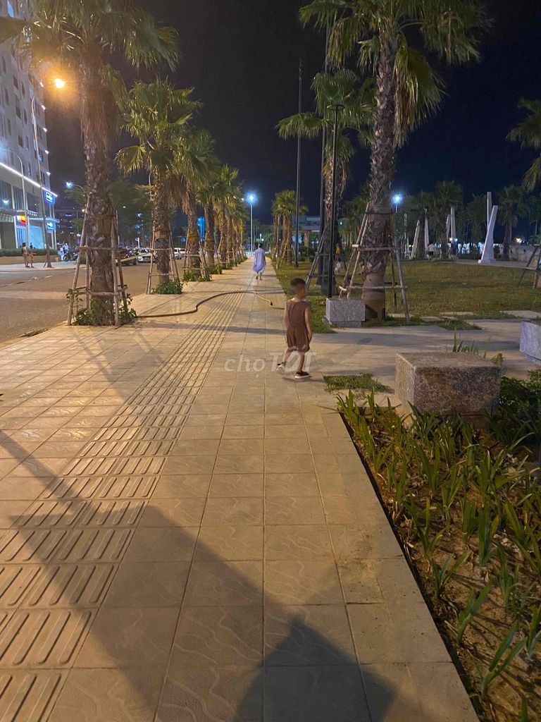 4334422 ảnh đại diện 1