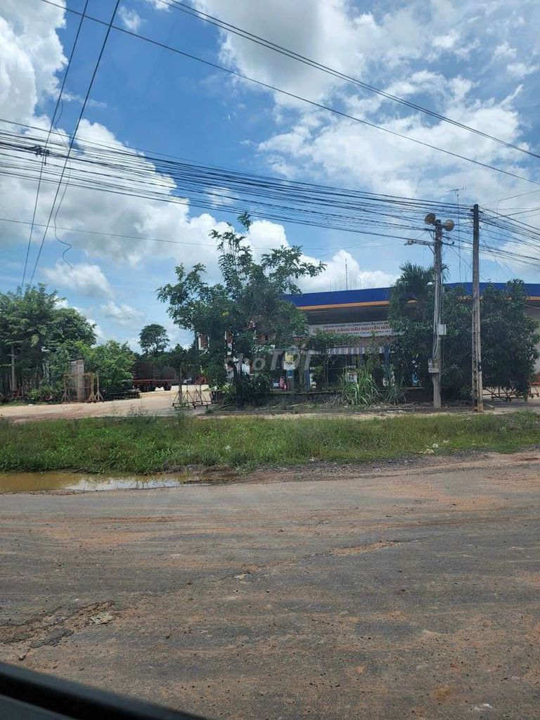 4329741 ảnh đại diện 1