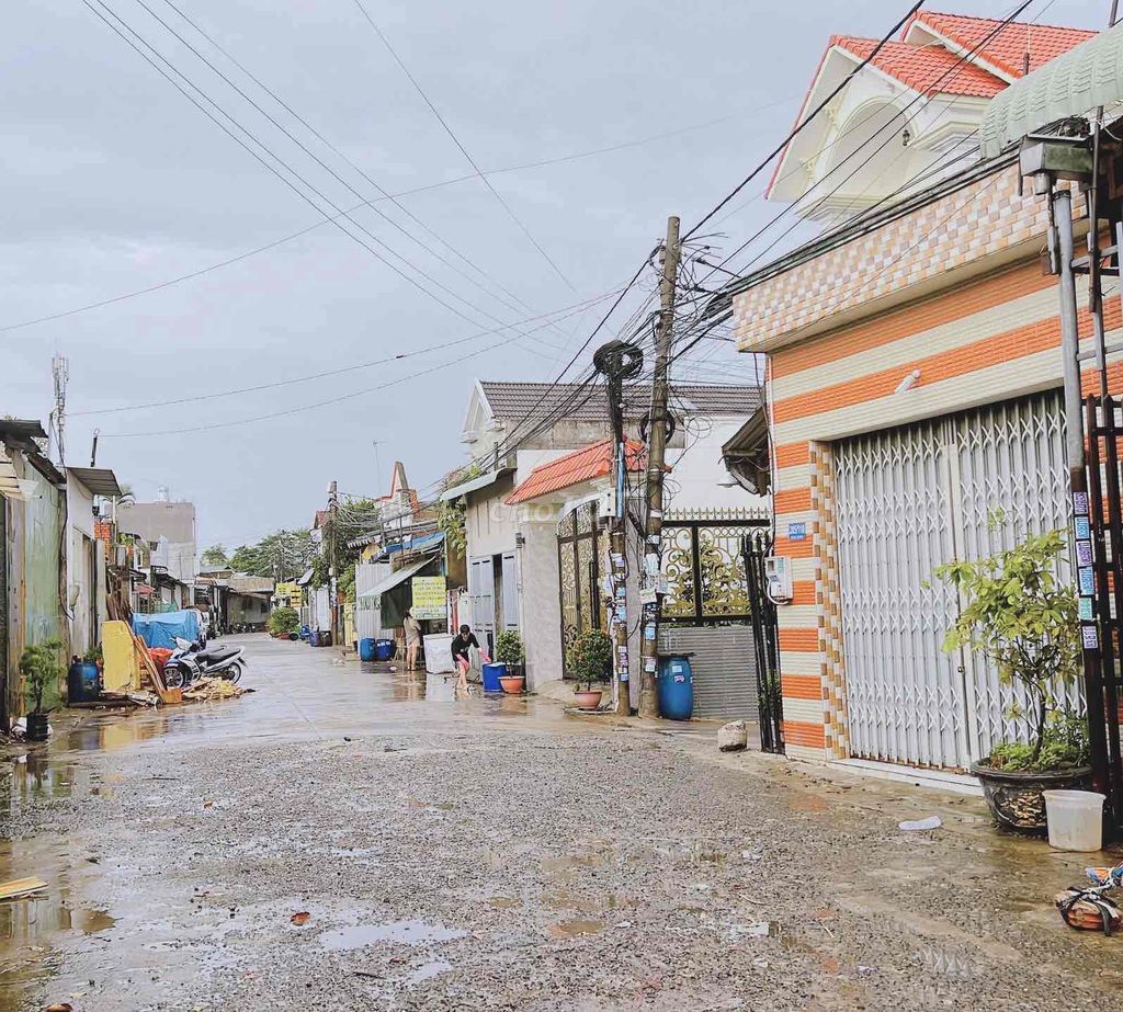 4332177 ảnh đại diện 1