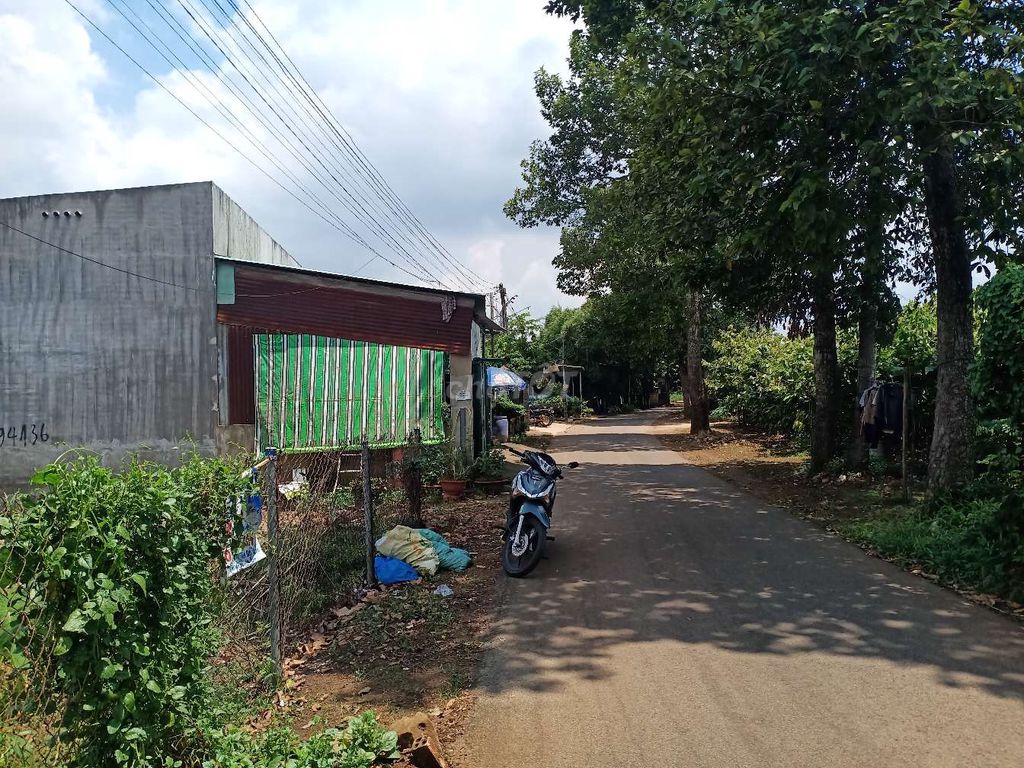 4328720 ảnh đại diện 2