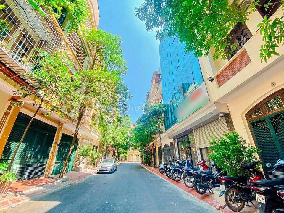 4327496 ảnh đại diện 2