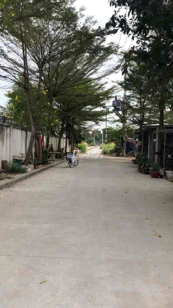 4333472 ảnh đại diện 1