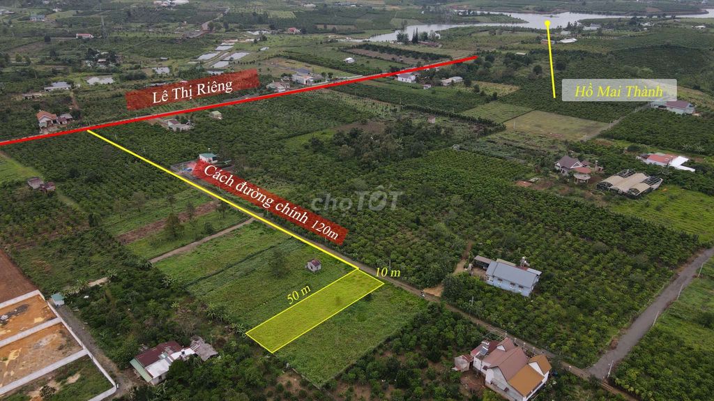 4329229 ảnh đại diện 1