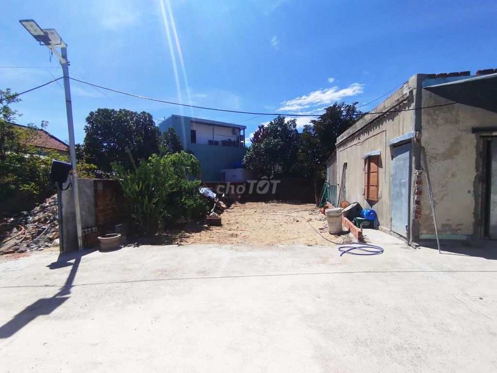 4335730 ảnh đại diện 1