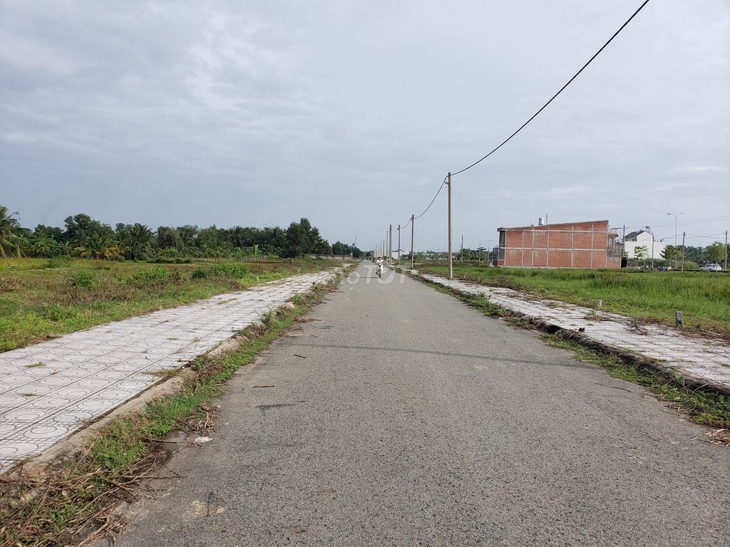 4330967 ảnh đại diện 2