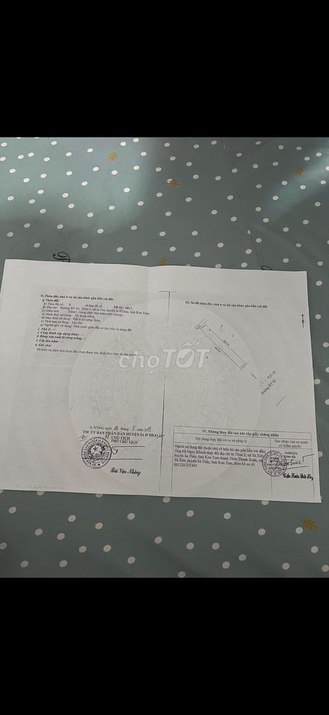 4329831 ảnh đại diện 1