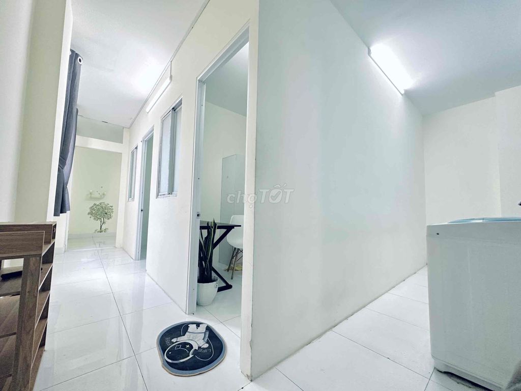 4330244 ảnh đại diện 1