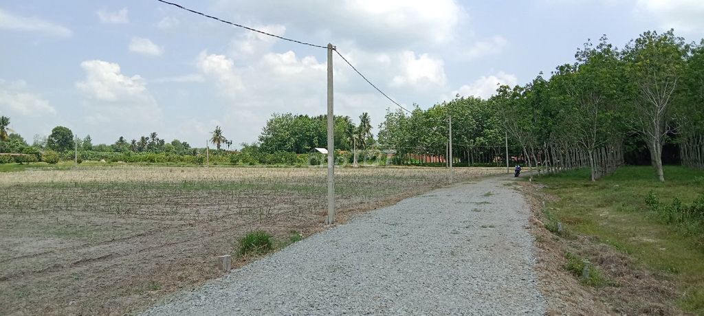 4329131 ảnh đại diện 1