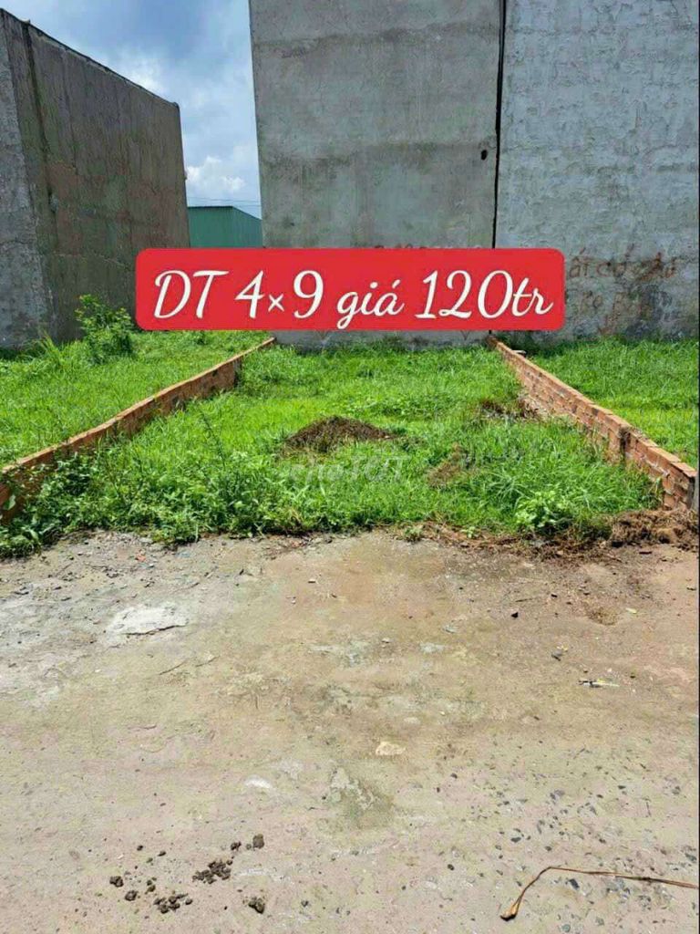 4329752 ảnh đại diện 1