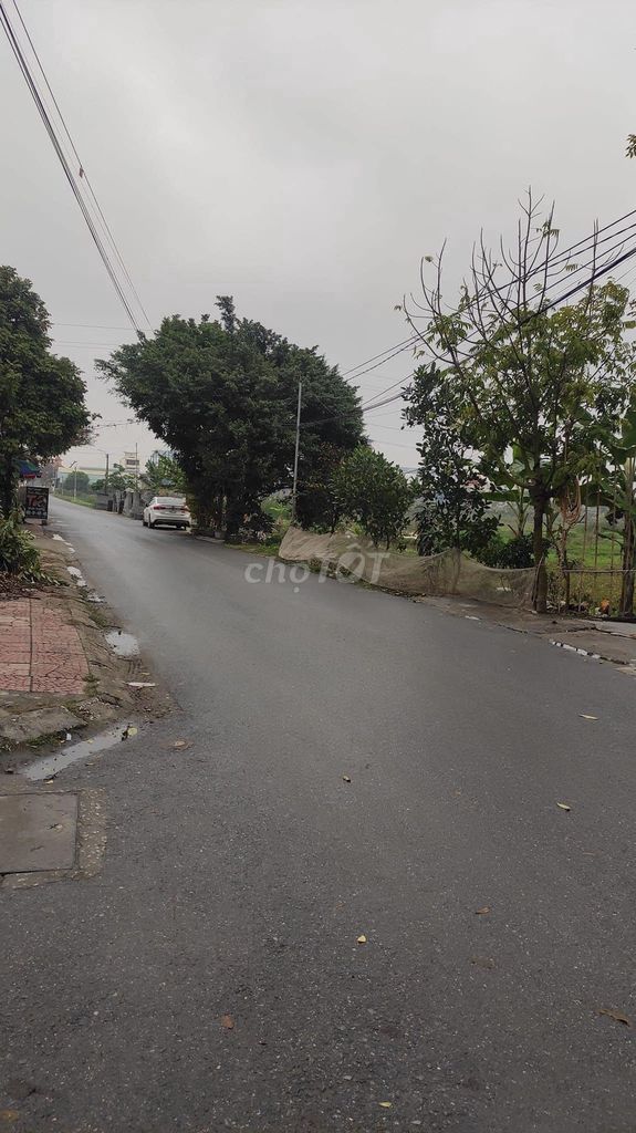 4328410 ảnh đại diện 2