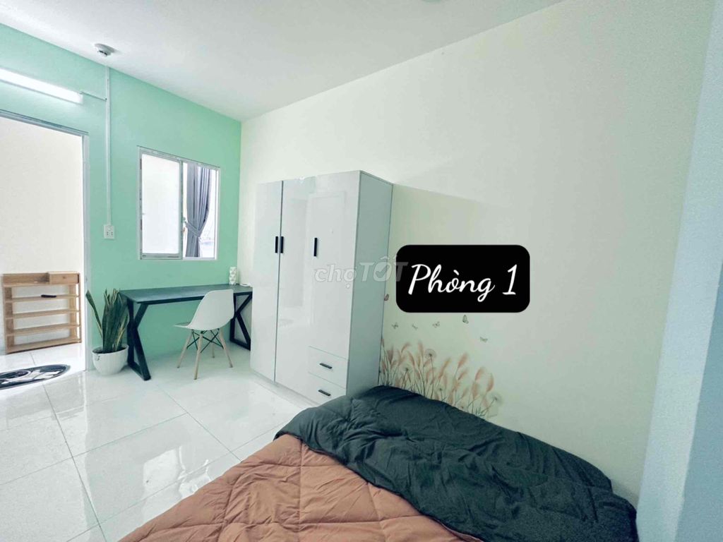 4330244 ảnh đại diện 1