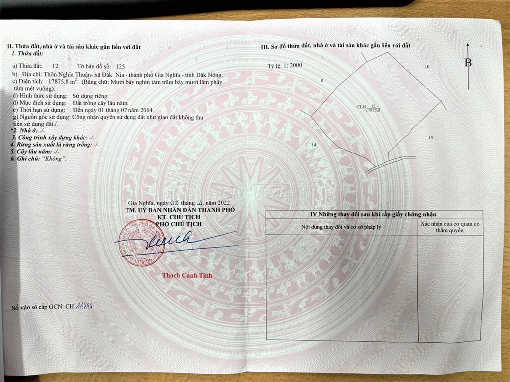 4330434 ảnh đại diện 2