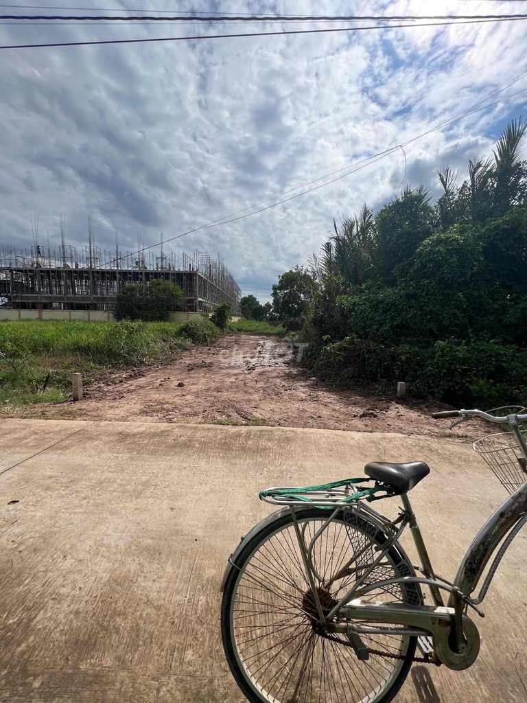 4330551 ảnh đại diện 1