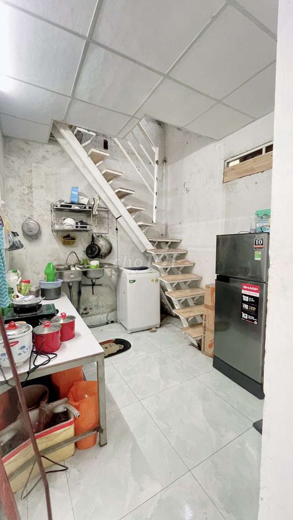 4330294 ảnh đại diện 2