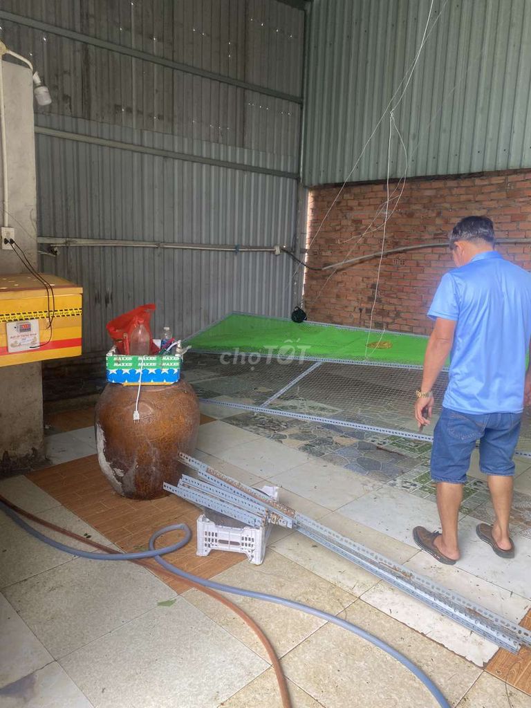 4327810 ảnh đại diện 1