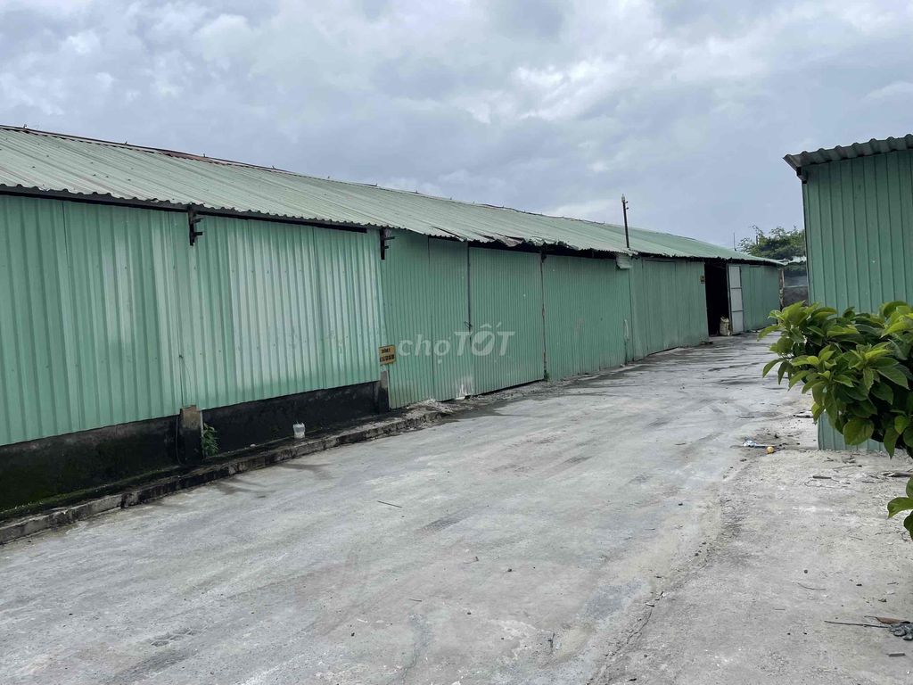 4328048 ảnh đại diện 2