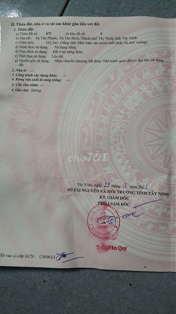 4327438 ảnh đại diện 1