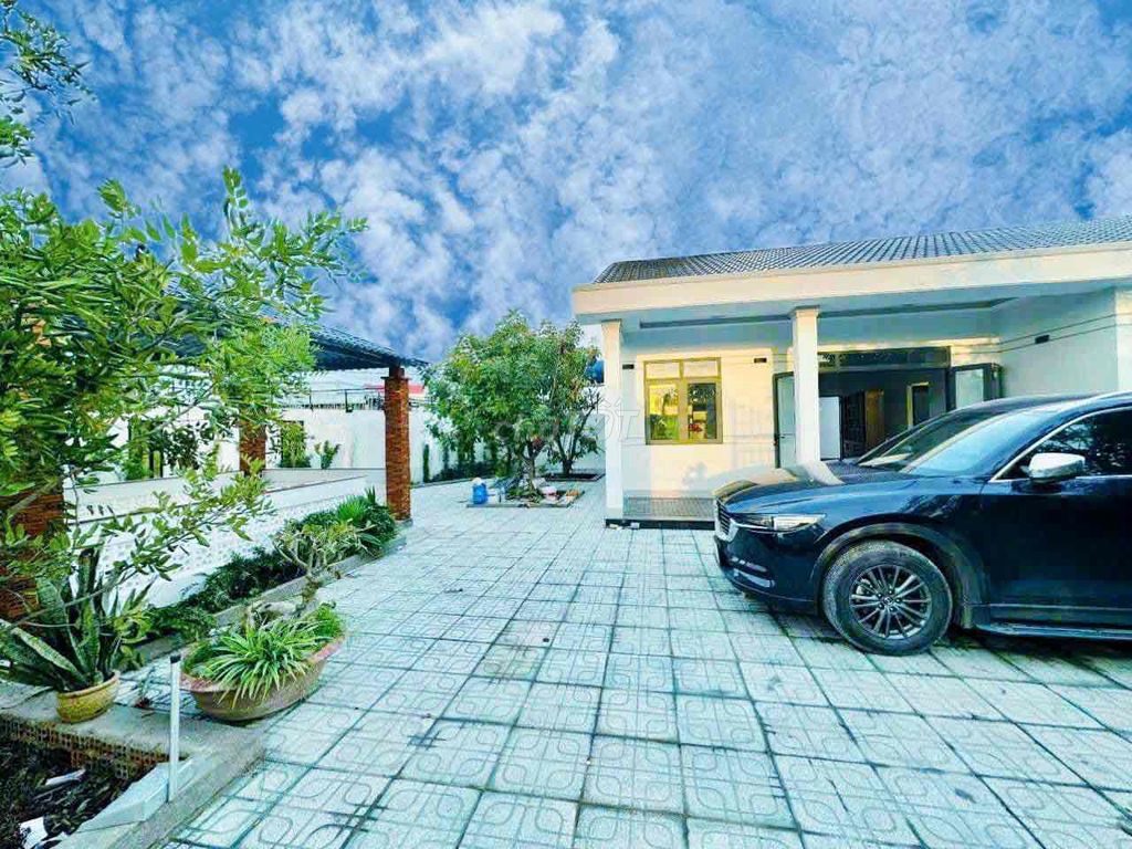 4329674 ảnh đại diện 2