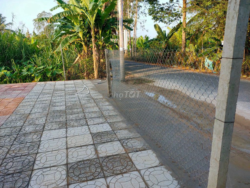 4329373 ảnh đại diện 2