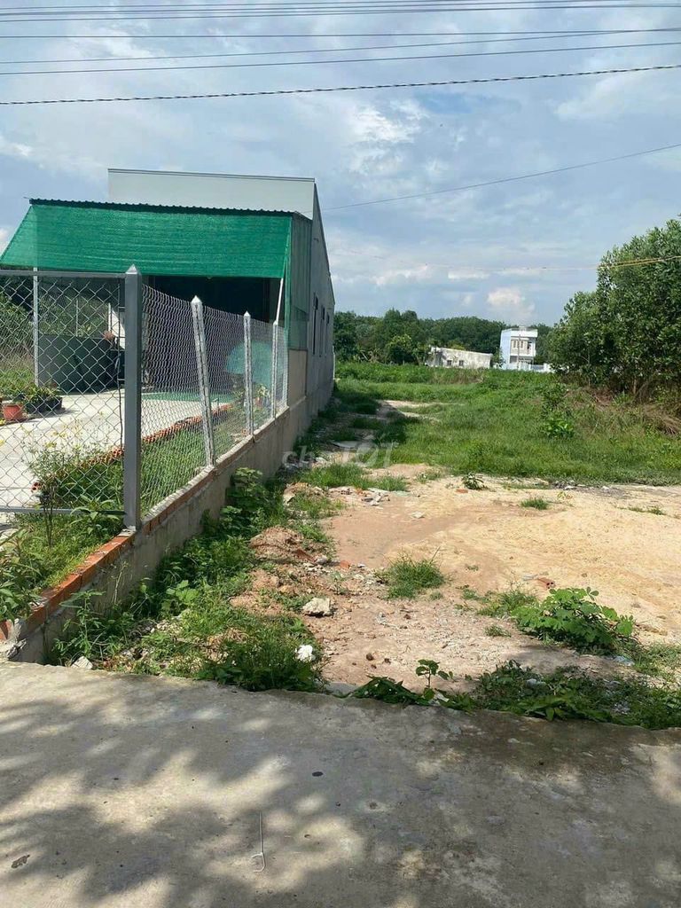 4339496 ảnh đại diện 1