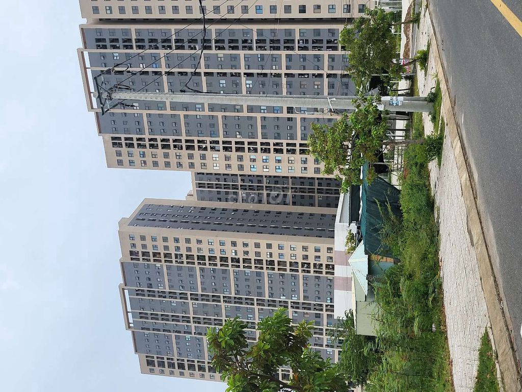 4336162 ảnh đại diện 2