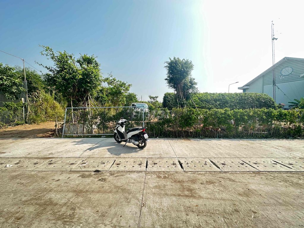 4339465 ảnh đại diện 1