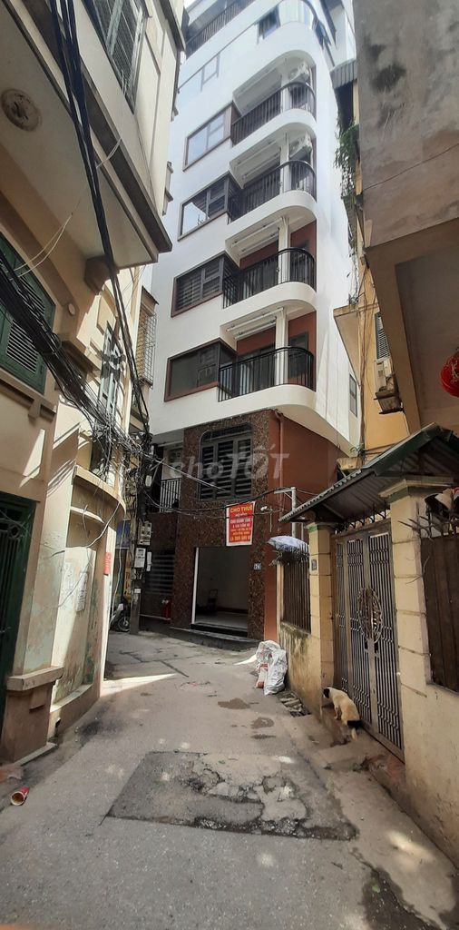 4336627 ảnh đại diện 1