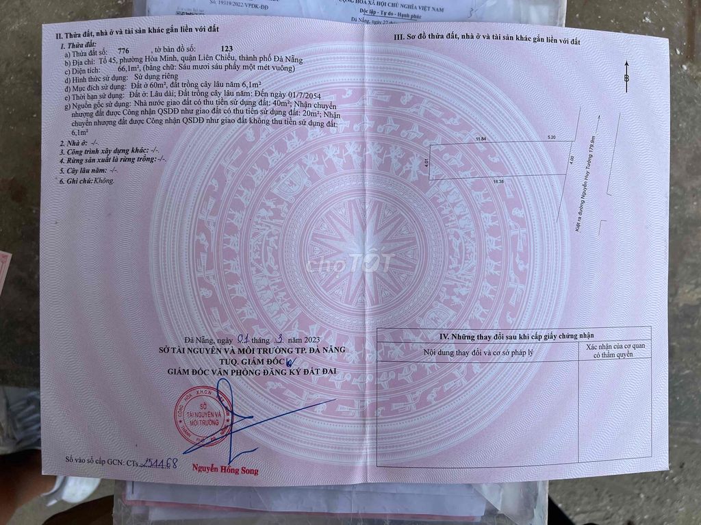 4336843 ảnh đại diện 2