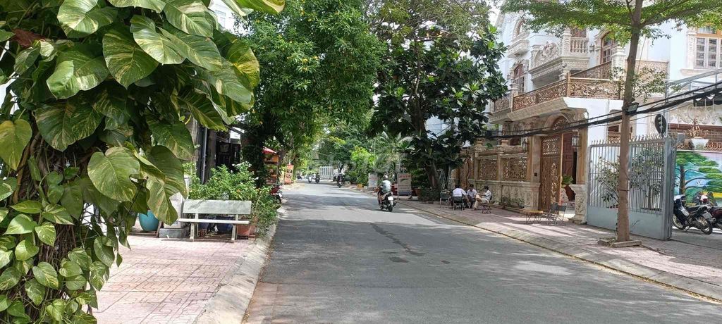 4338651 ảnh đại diện 1