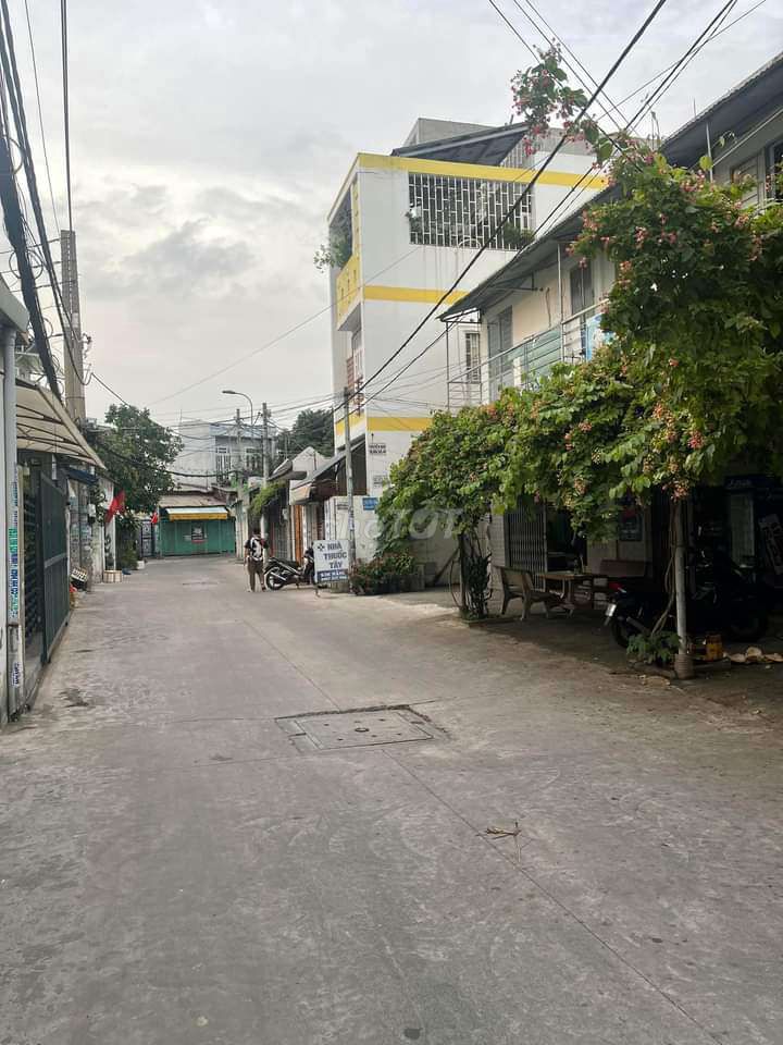 4336281 ảnh đại diện 1