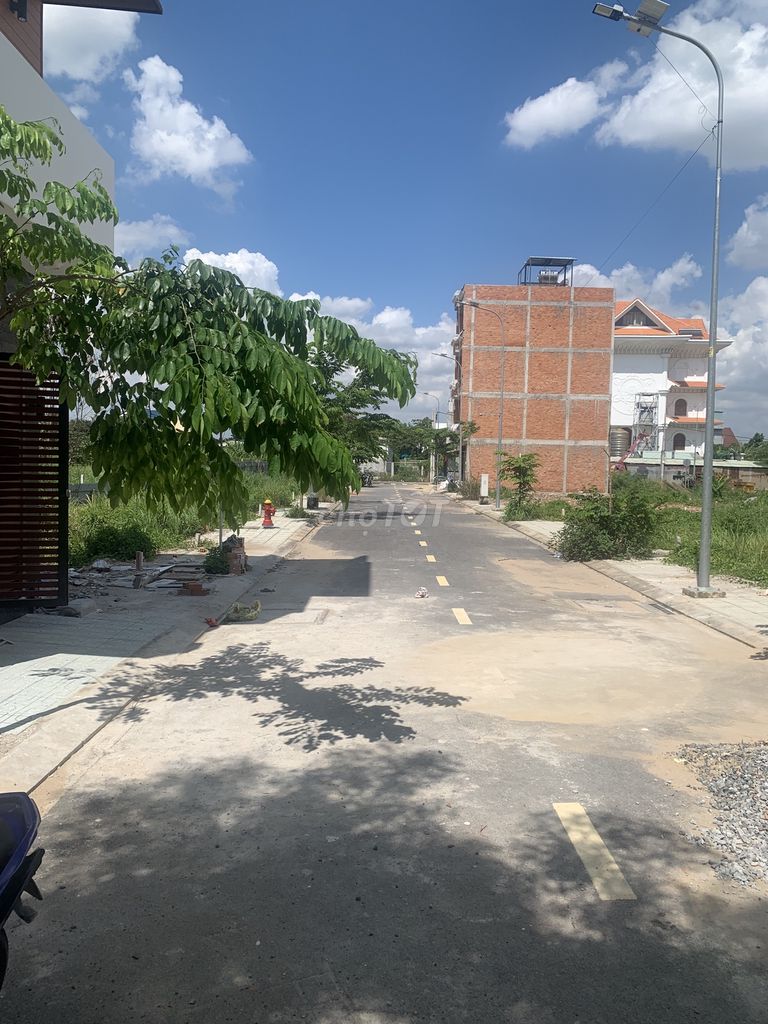 4339662 ảnh đại diện 2