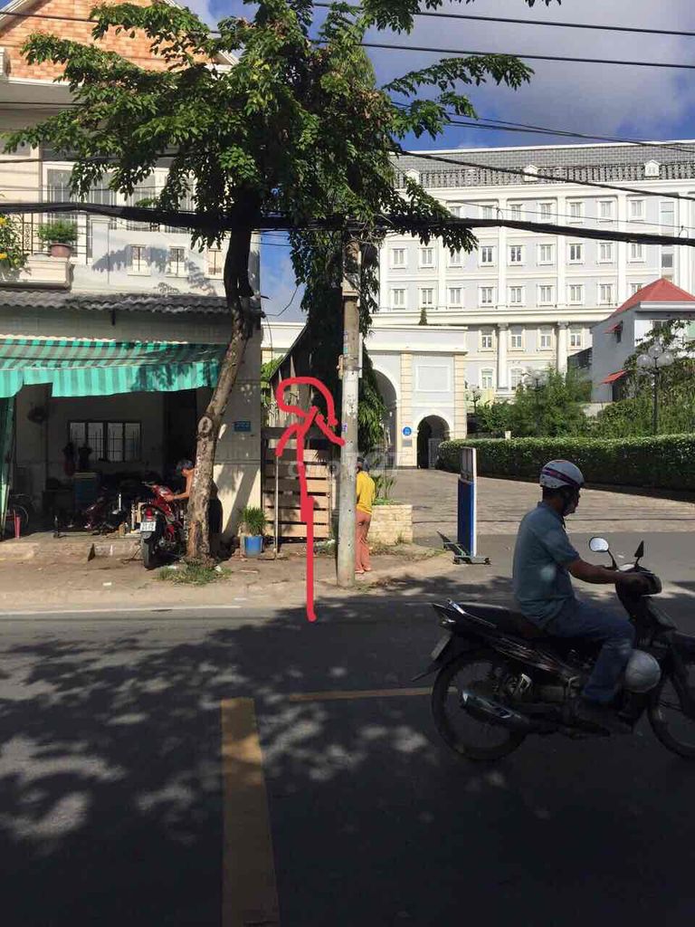 4336702 ảnh đại diện 1