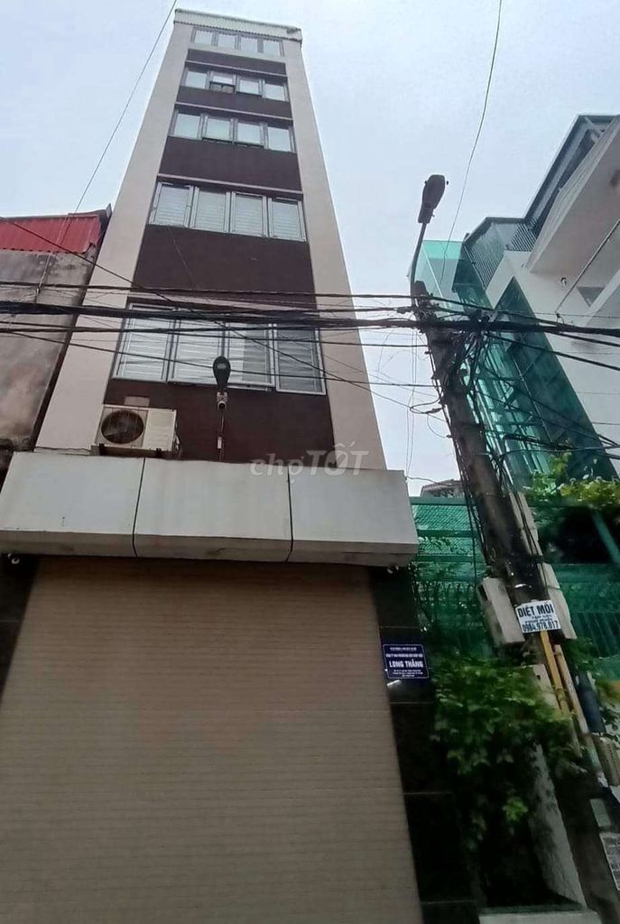 4339440 ảnh đại diện 1