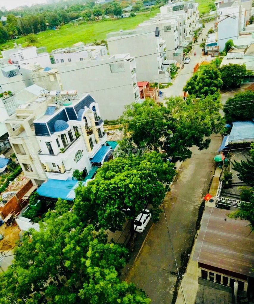 4335988 ảnh đại diện 1