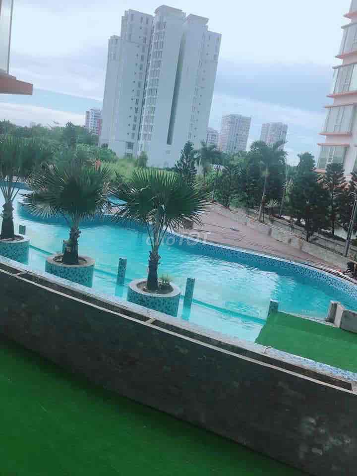4339146 ảnh đại diện 1